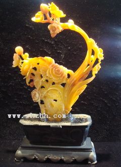 �����񸻹󻨿�