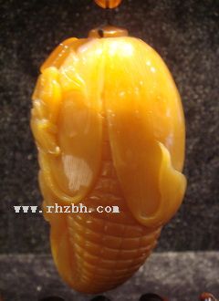 ������ڽڸ���